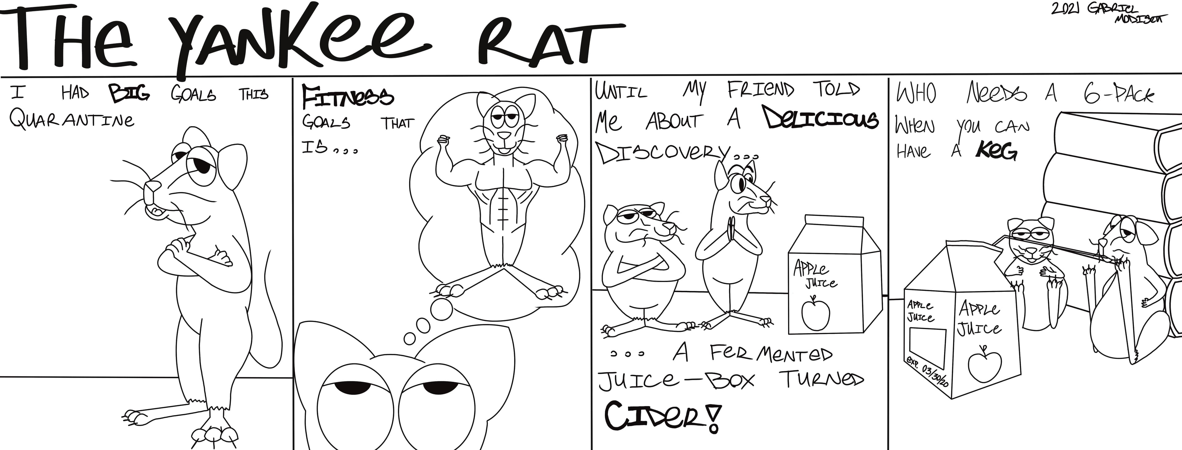 Yankee Rat 2